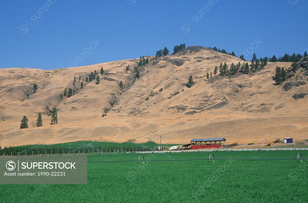 Farmland at Midway, Kettle River valley, British Columbia, Canada