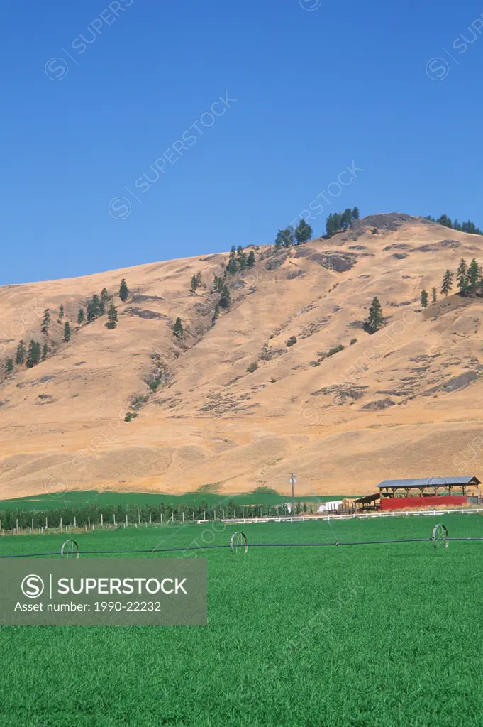 Farmland at Midway, Kettle River valley, British Columbia, Canada
