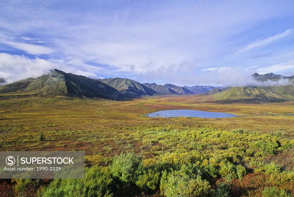 North Fork Pass in the Ogilvie Mountains, Tombstone Territorial Park on the Dempster Highway, Yukon Territory, Canada