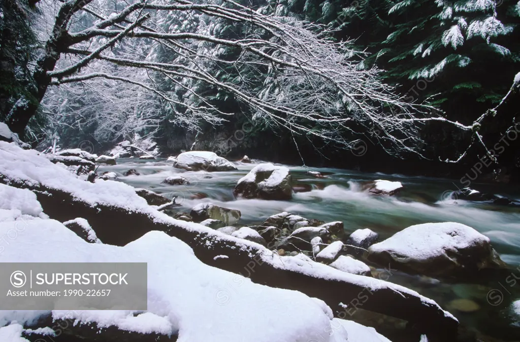 Tamahi creek flows from Cascade range, British Columbia, Canada