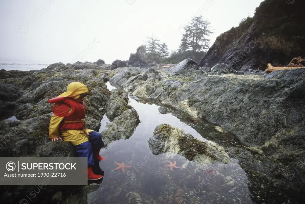 boy looks into tidepool in rain, Vancouver Island, British Columbia, Canada