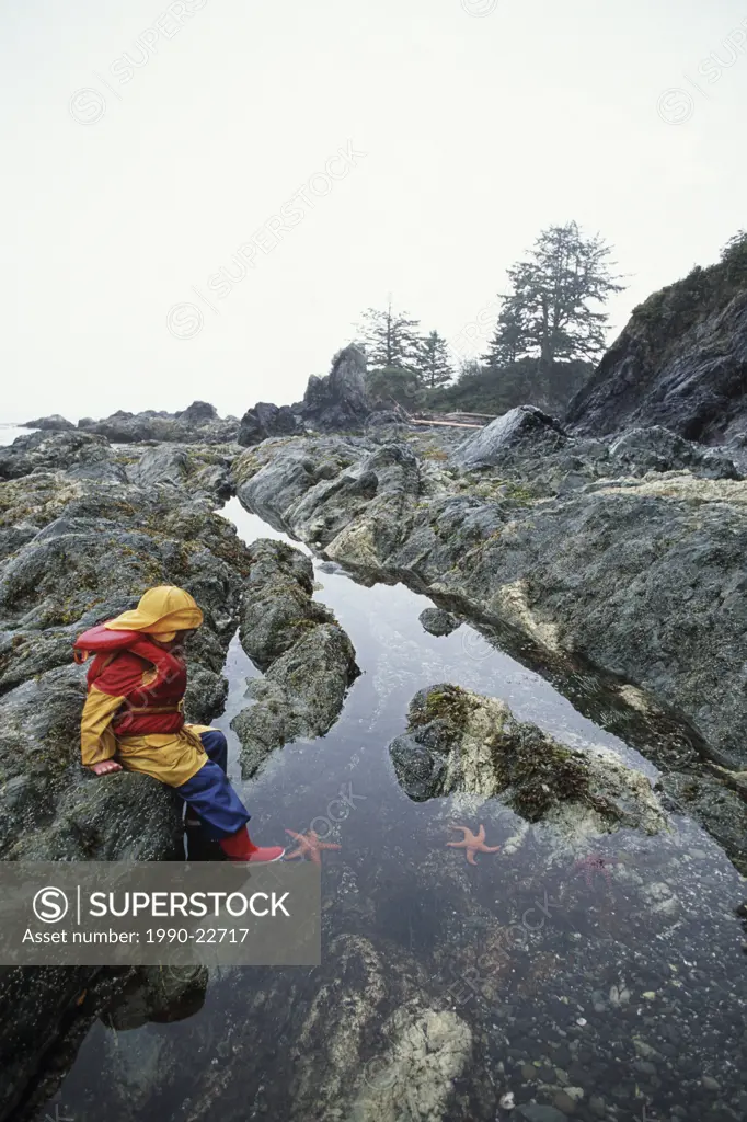 boy looks into tidepool in rain, Vancouver Island, British Columbia, Canada