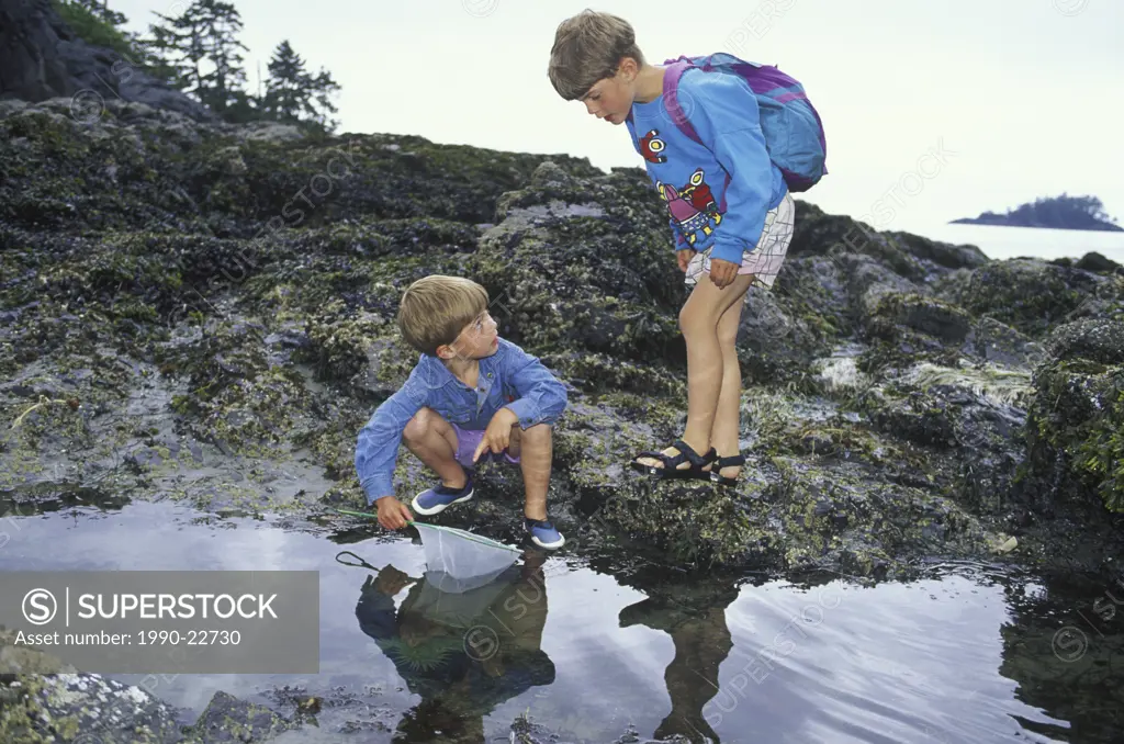 boys examine tidepool life, Pacific Rim, Tofino, Vancouver Island, British Columbia, Canada