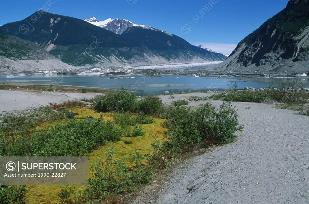 Coast Range, Klinaklini glacier, Nimmo Bay heli ventures, British Columbia, Canada