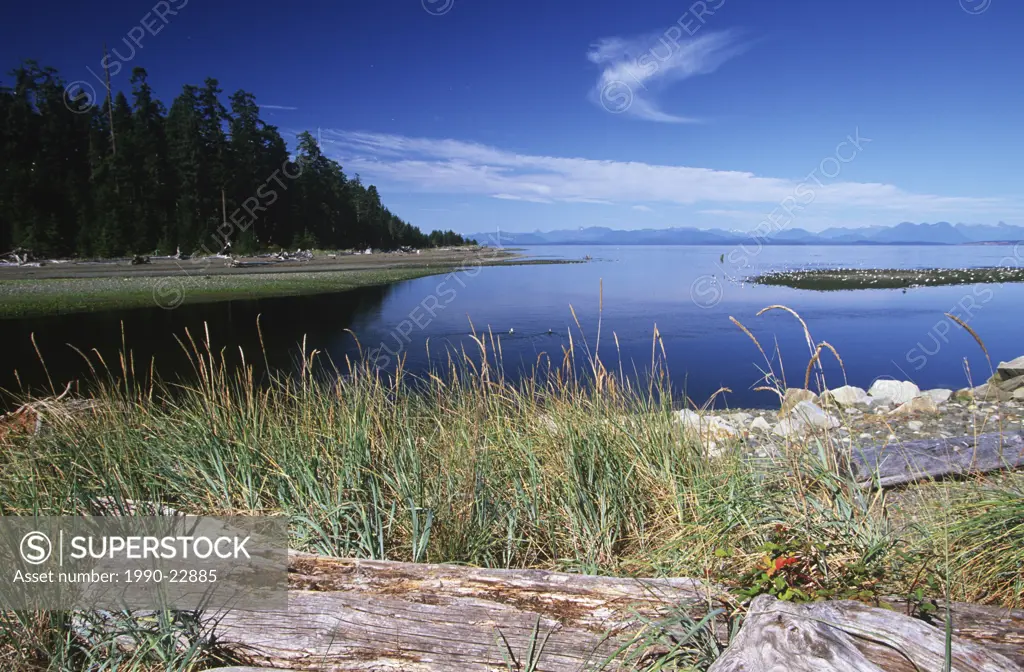 Oyster River estuary, Georgia Strait, Vancouver Island, British Columbia, Canada