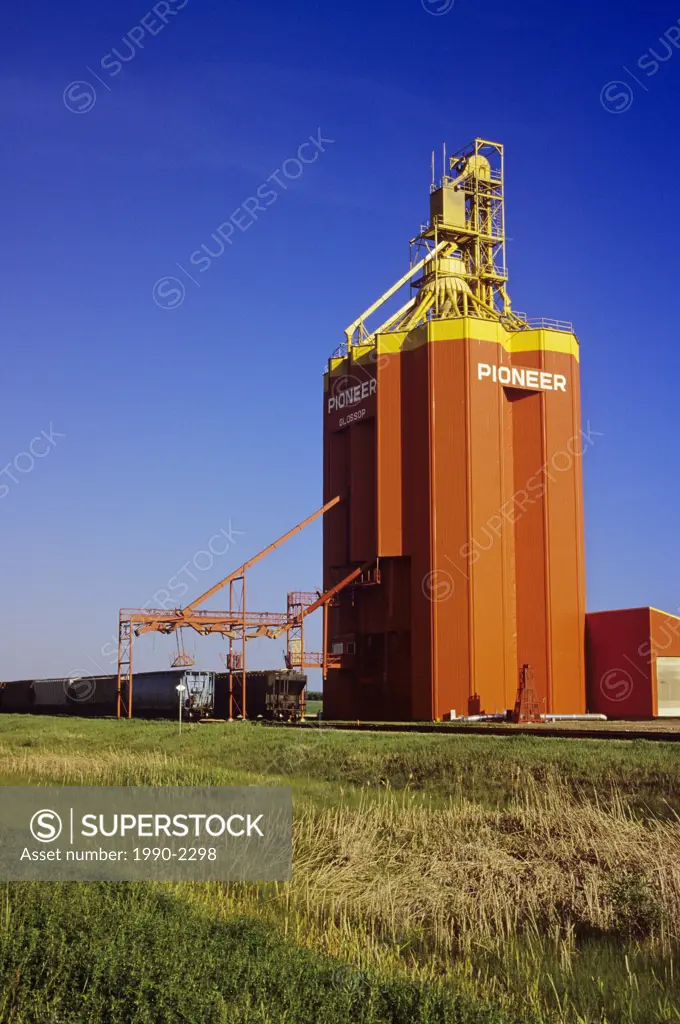 Grain elevator, Newdale, Manitoba, Canada