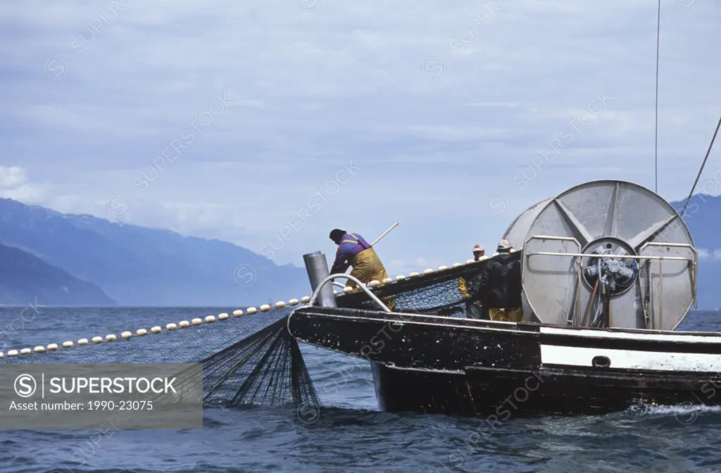 Nass River, Seine Boat crew, retrieving nets, British Columbia, Canada