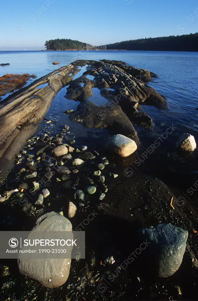 Beach at low tide Gulf Islands, Cabbage Island, British Columbia, Canada