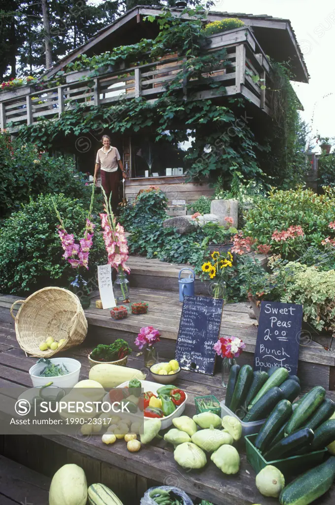 Organic market garden, Hornby Island, Gulf Islands in Georgia Strait, British Columbia, Canada