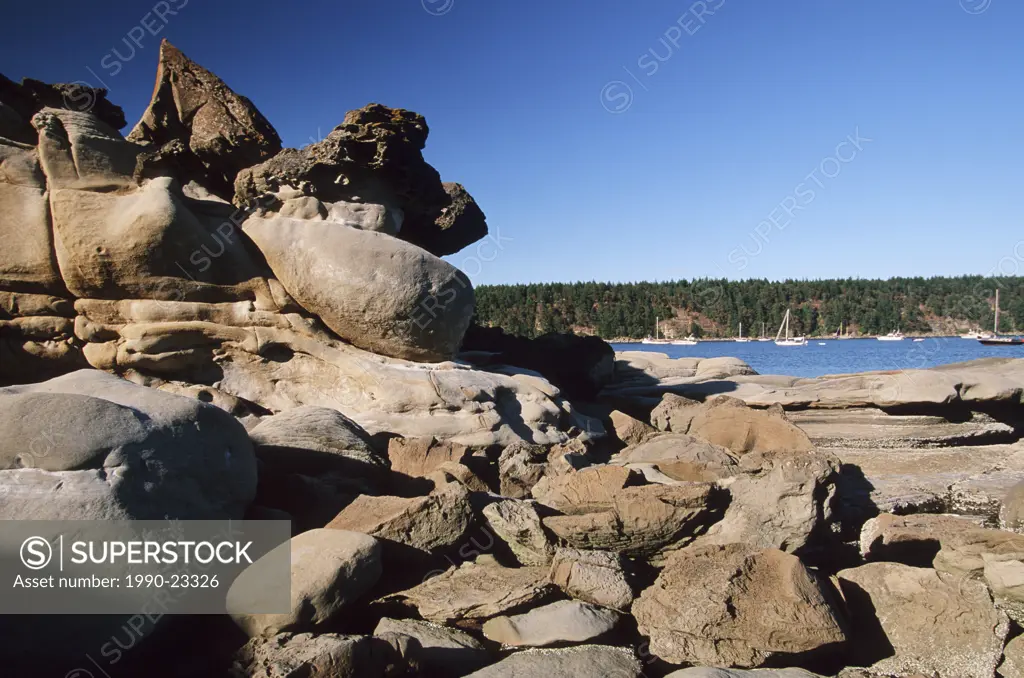 Hornby Island in Gulf Islands, sandstone seashore with erosion patterns, Tribune Bay, Vancouver Island, British Columbia, Canada
