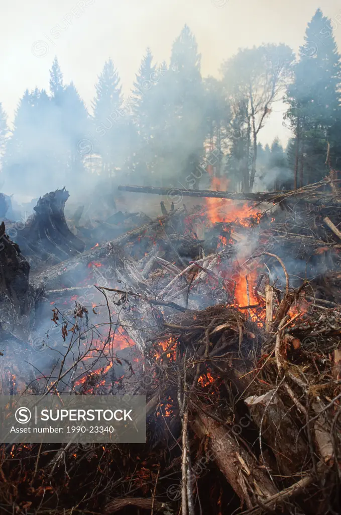 Logging slash fire, burning rubble, British Columbia, Canada