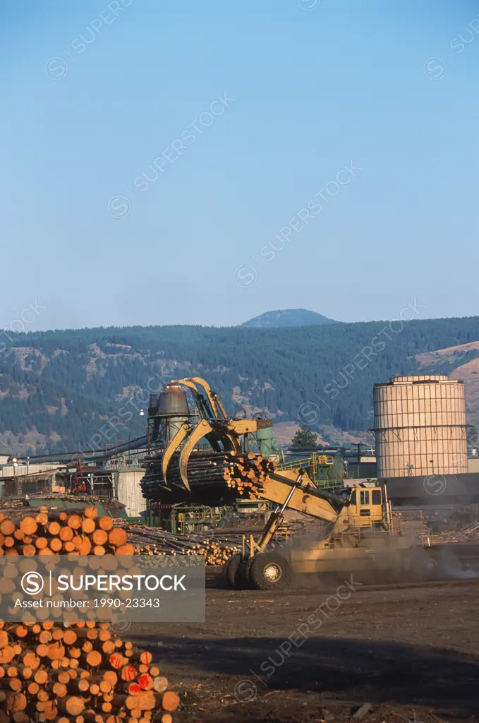 Interior, Grand Forks , lumber mill, offloading logging trucks, British Columbia, Canada