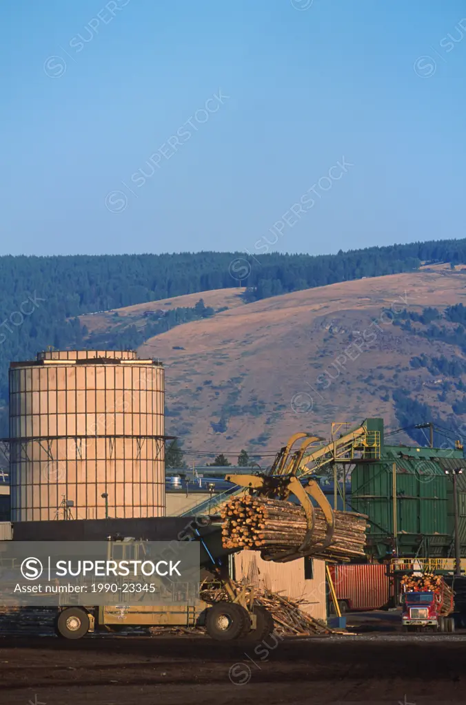 Grand Forks , lumber mill, offloading logging trucks, British Columbia, Canada