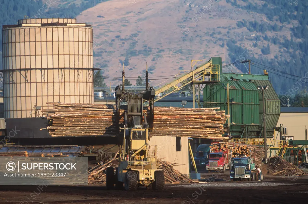 Grand Forks , lumber mill, offloading logging trucks, British Columbia, Canada