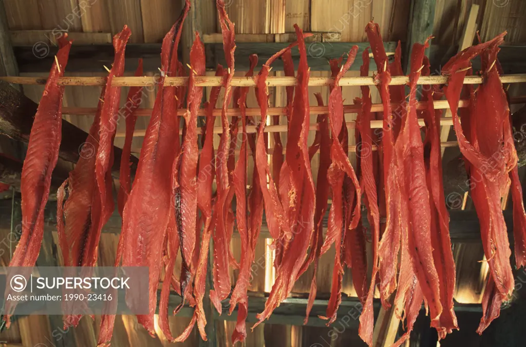 Nisga´a smokehouse with drying salmon jerky, British Columbia, Canada
