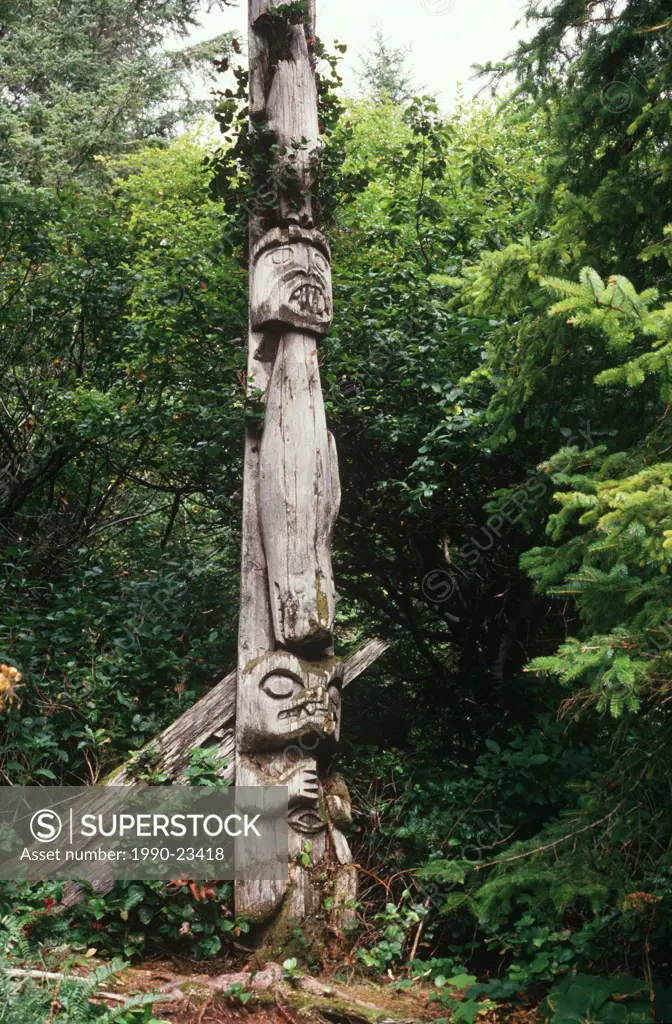 First Nations culture, Nuu-chah-nulth pole in abondoned village : Checleset Islands, British Columbia, Canada