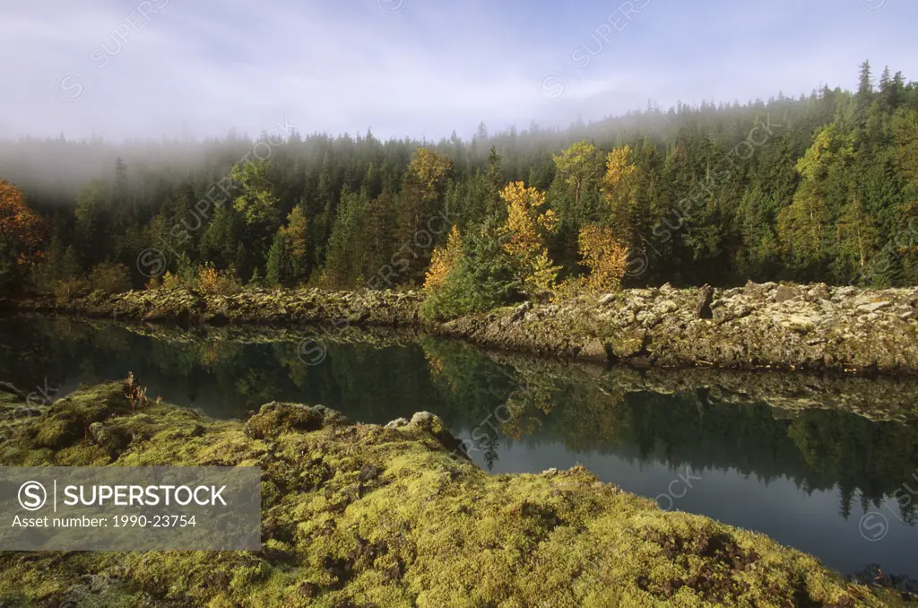 Nisga´a Memorial Lava Bed Provincial Park, lichen encrusted rock and drainage from Lava Lake, British Columbia, Canada