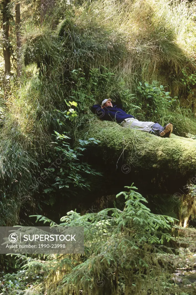 Haida Gwaii, near Burnaby Narrows, man sleeps near small creek, British Columbia, Canada