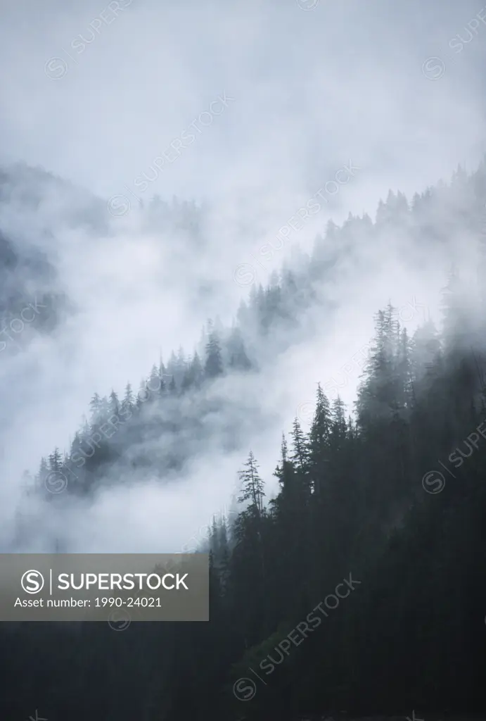 Hadia Gwaii - misty day Gwaii Hanaas national Park reserve, British Columbia, Canada