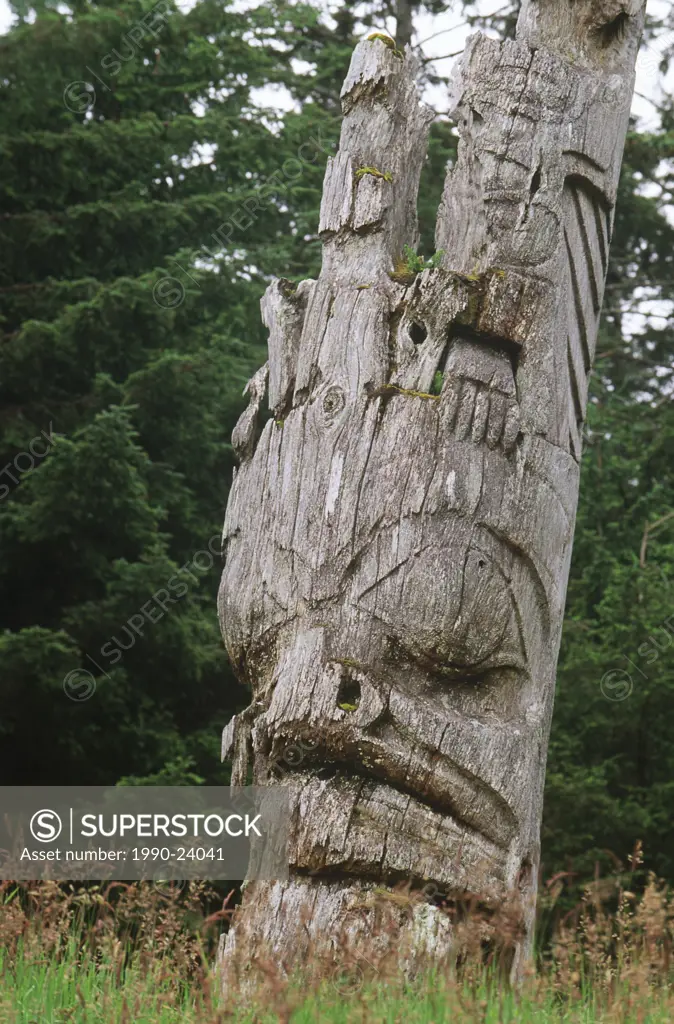 Queen Charlotte Islands, Ninstints Village Nad Sdins, Anthony Island SGaang Gwaay, weathered mortuary totem poles, British Columbia, Canada