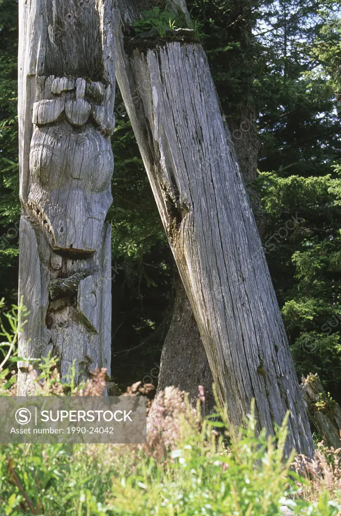 Queen Charlotte Islands, Ninstints Village Nad Sdins, Anthony Island SGaang Gwaay, weathered mortuary totem poles, British Columbia, Canada