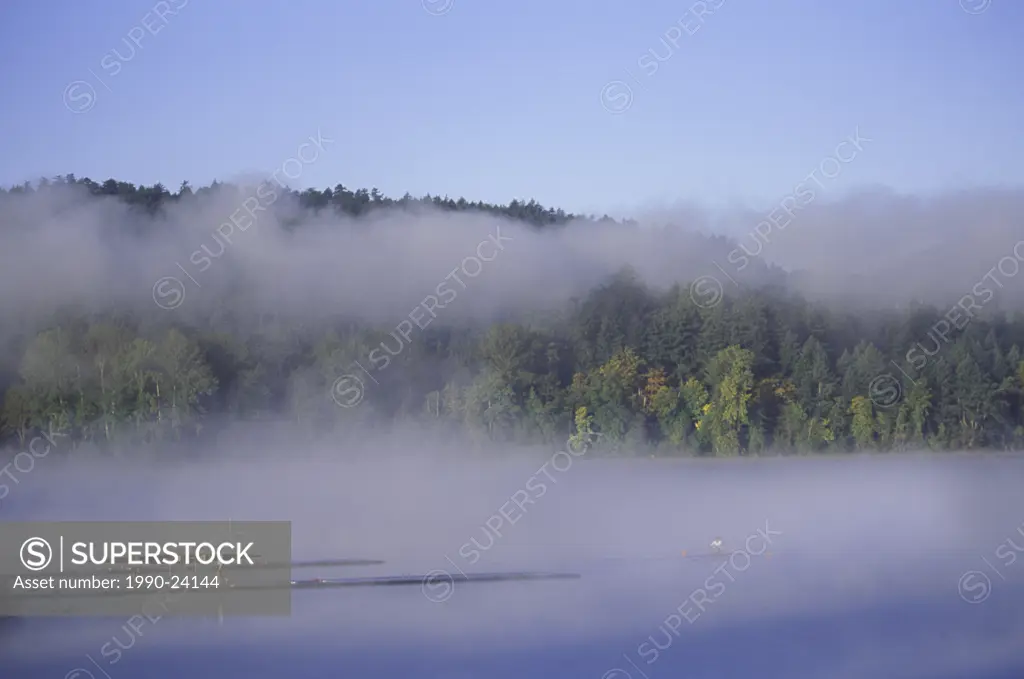 Rowers on lake  Elk Lake, Victoria  Mist over lake with rower, Vancouver Island, British Columbia, Canada