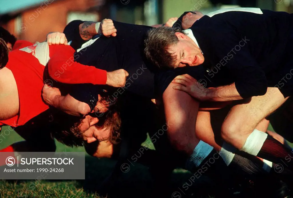 Rugby plays in scrum, British Columbia, Canada