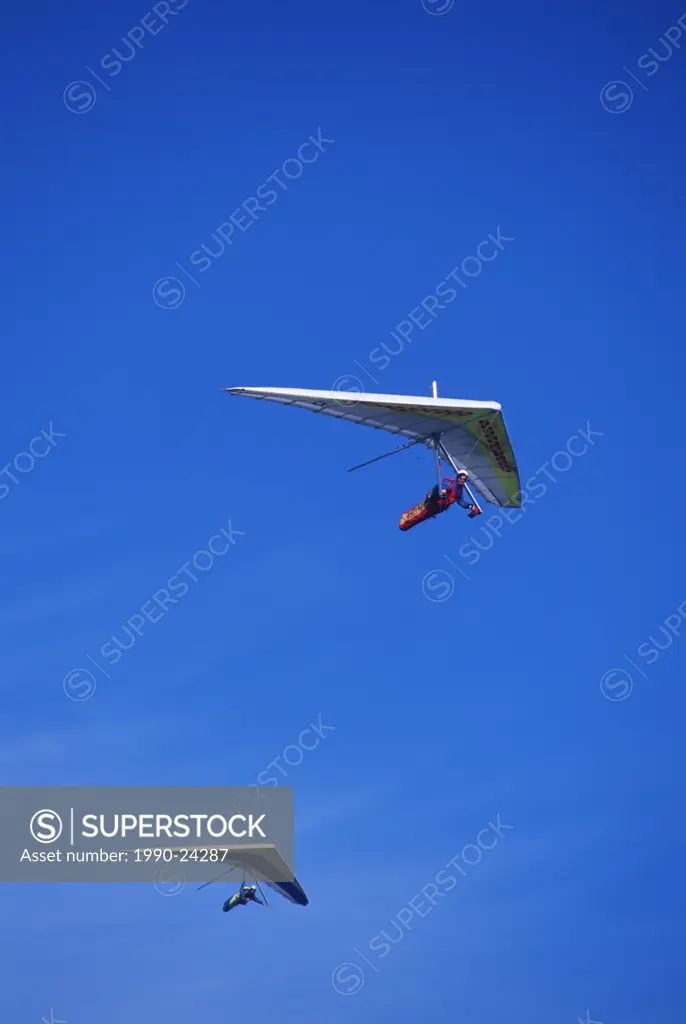 Hang gliders in flight on blue sky, British Columbia, Canada