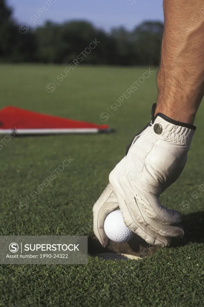 Golf, hand removes pull from cup, British Columbia, Canada