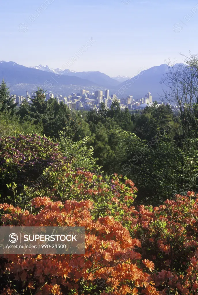 View of downtown Vancouver from Queen Elizabeth Park and mountains beyond, Vancouver, British Columbia, Canada