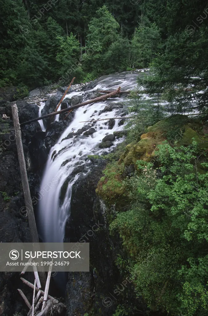 Coombs, Englishman river falls, Vancouver Island, British Columbia, Canada