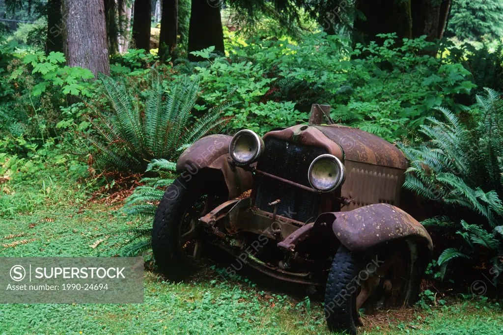 Sayward - rusted antique car at Cable House cafe, Vancouver Island, British Columbia, Canada