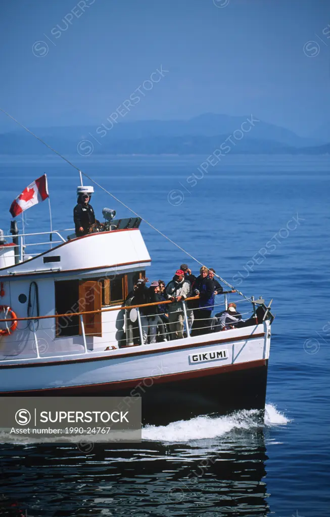 Telegraph Cove based whale watching / nature tour, boat M V  Gikumi, Vancouver Island, British Columbia, Canada