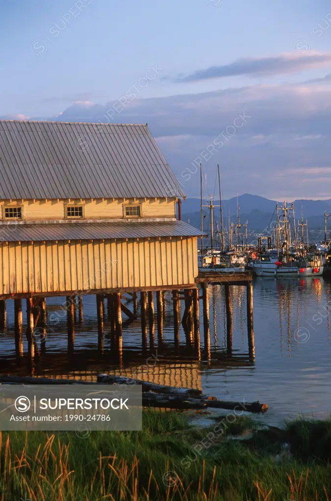 Malcolm Island, Sointula - fishboats at wharf and shed, British Columbia, Canada