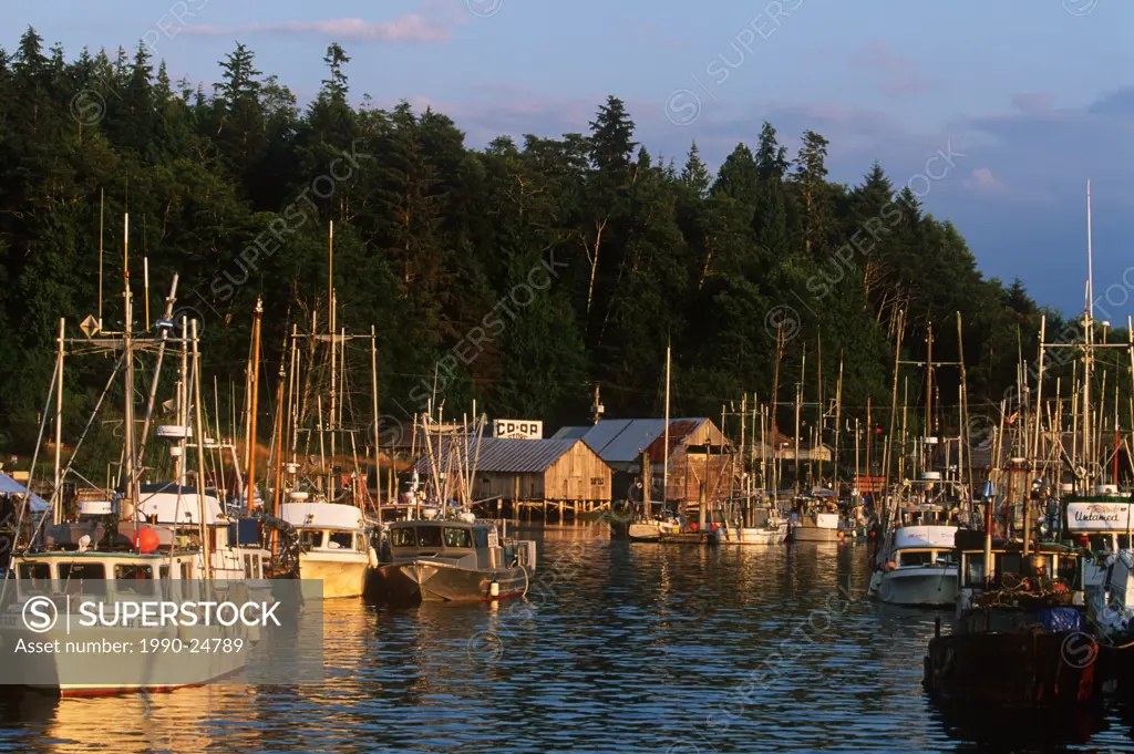 Malcolm Island, Sointula - fishboats at wharf, British Columbia, Canada