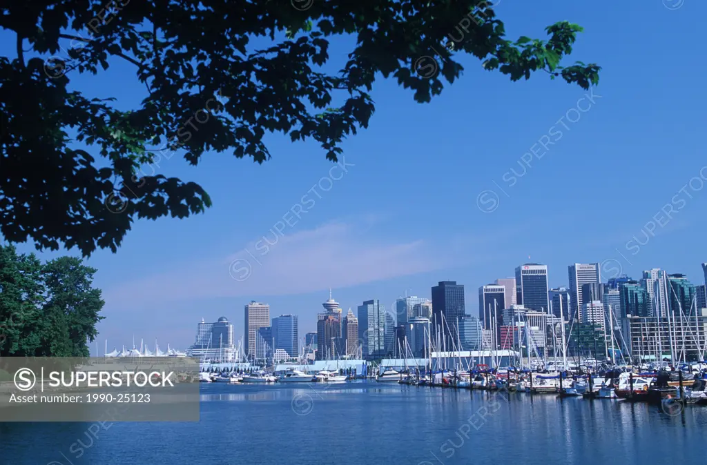 View of downtown and canada place from Coal Harbour, Vancouver, British Columbia, Canada