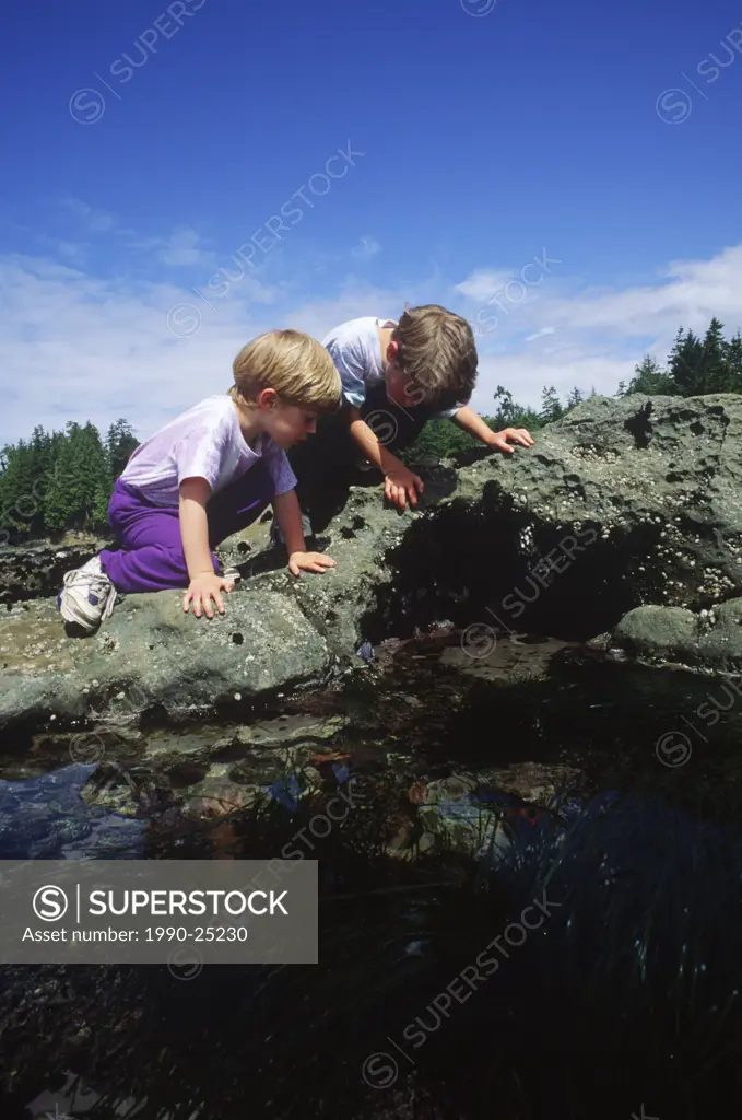 Botanical Beach, young boys examine tidepools, Vancouver Island, British Columbia, Canada
