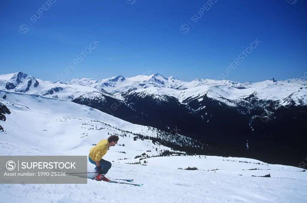 Skier descends whistler, Whistler, British Columbia, Canada