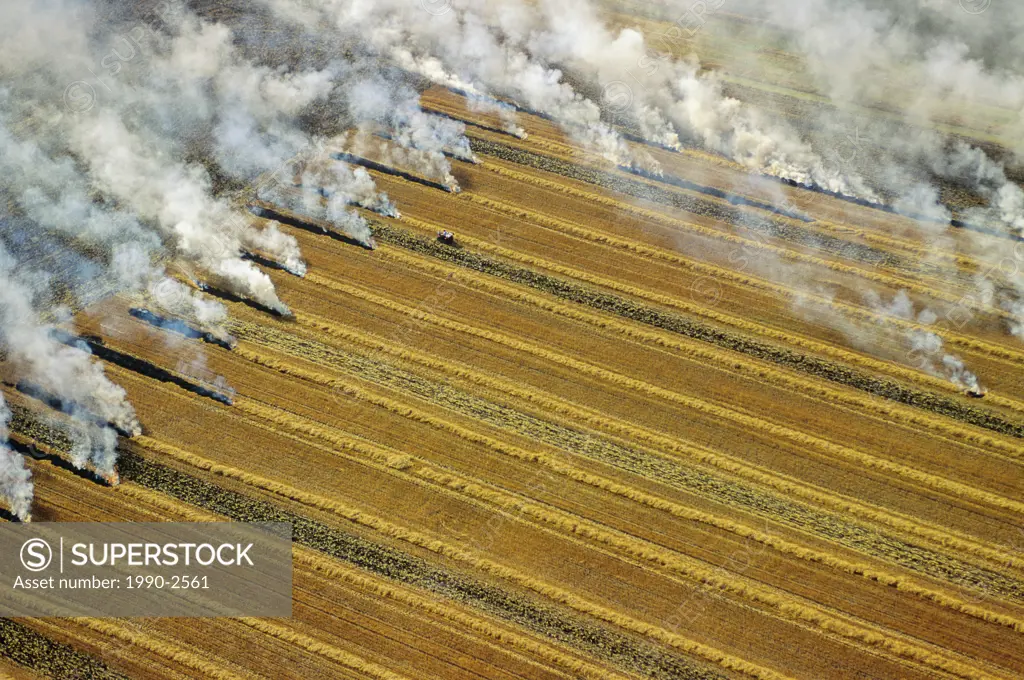 Aerial of residual crop burning in Manitoba, Canada