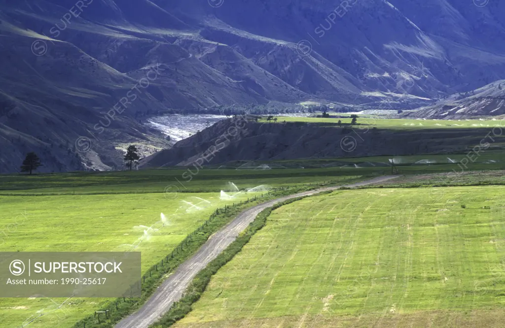 Farming above the Fraser River, British Columbia, Canada