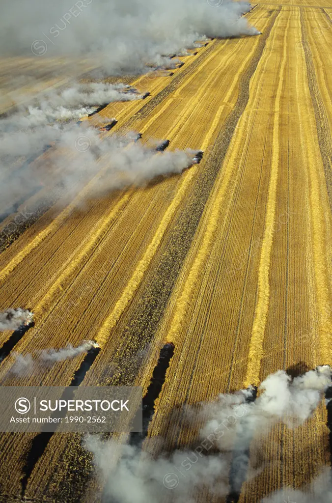 Aerial of residual crop burning in Manitoba, Canada