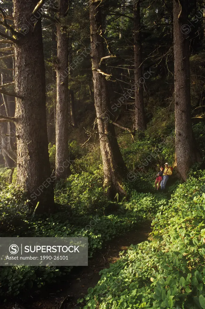 Hikers in old growth forest, West Coast Trail , Pacific Rim National Park, Vancouver Island, British Columbia, Canada