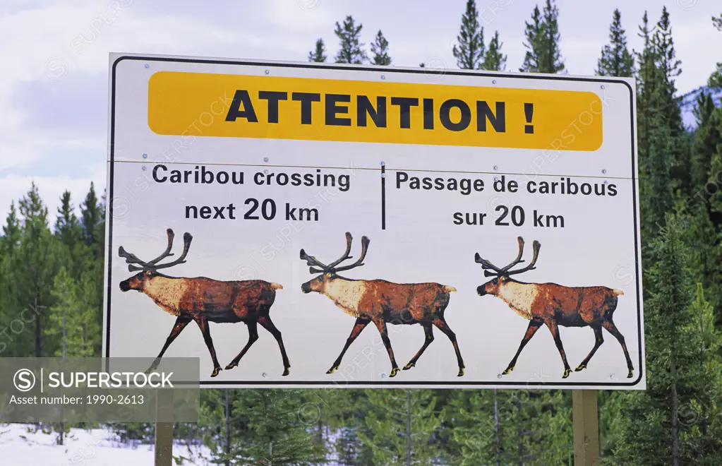 Mountain/woodland caribou crossing, warning sign, Jasper National Park, Alberta, Canada