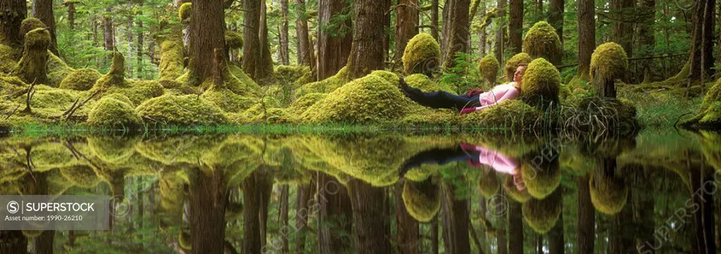 Swamp Forest, Tow Hill Ecological Reserve, Queen charlotte Islands, British Columbia, Canada