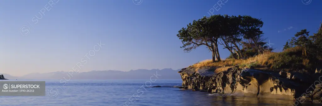 Cyprus trees on sandstone islet near Gabriola Island, British Columbia, Canada