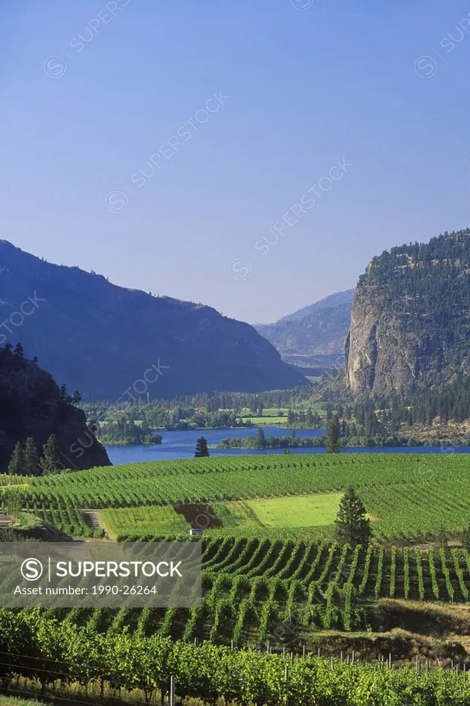 Blue Mountain Vineyards, South Okanagan, Vaseaux Lake, British Columbia, Canada