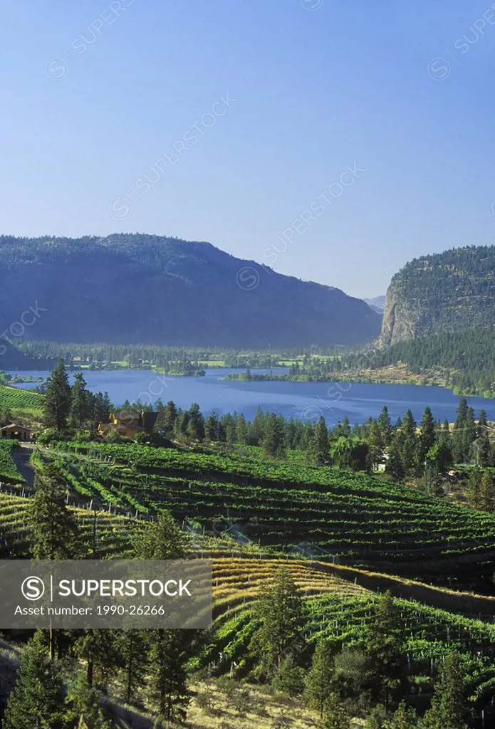 Blue Mountain Vineyards, South Okanagan, Vaseaux Lake, British Columbia, Canada