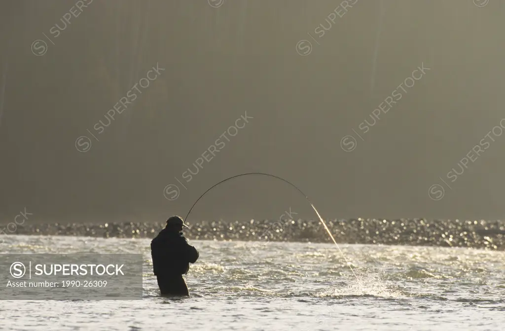 Flyfisherman playing steelhead, Bulkley river, Smithers, British Columbia, Canada