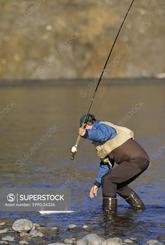 Flyfisherman landing steelhead, Bulkley river, British Columbia, Canada