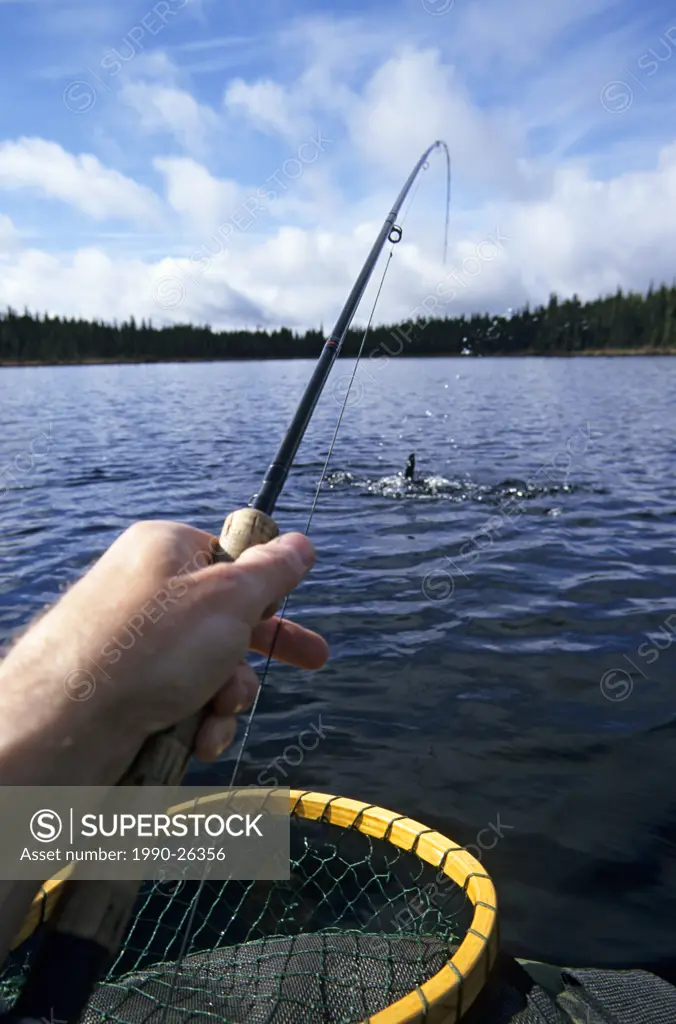 Flyfisherman playing trout from float-tube, Llama lake, British Columbia, Canada